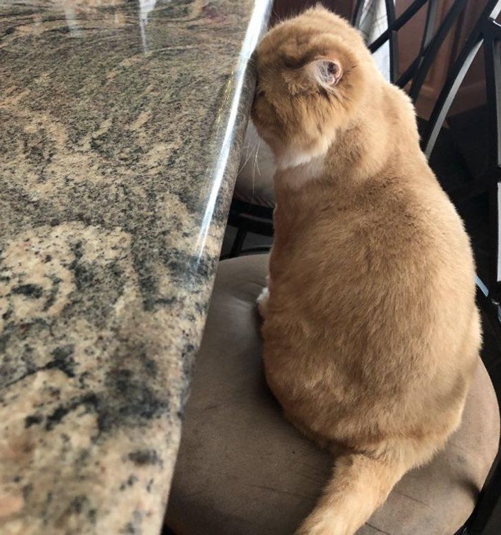 aaa5d25b4bb0165ee63c08c240