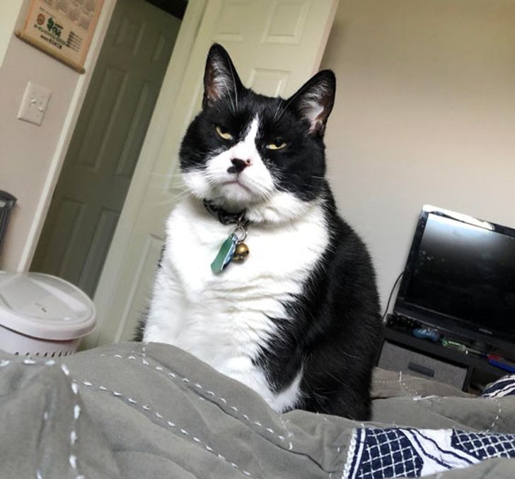 aaa70d5e6aa9b0ce290a7d3231