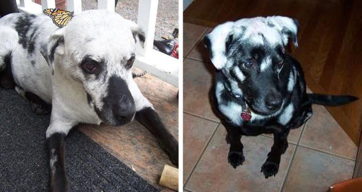 aab0585063acd3d38a422133ce