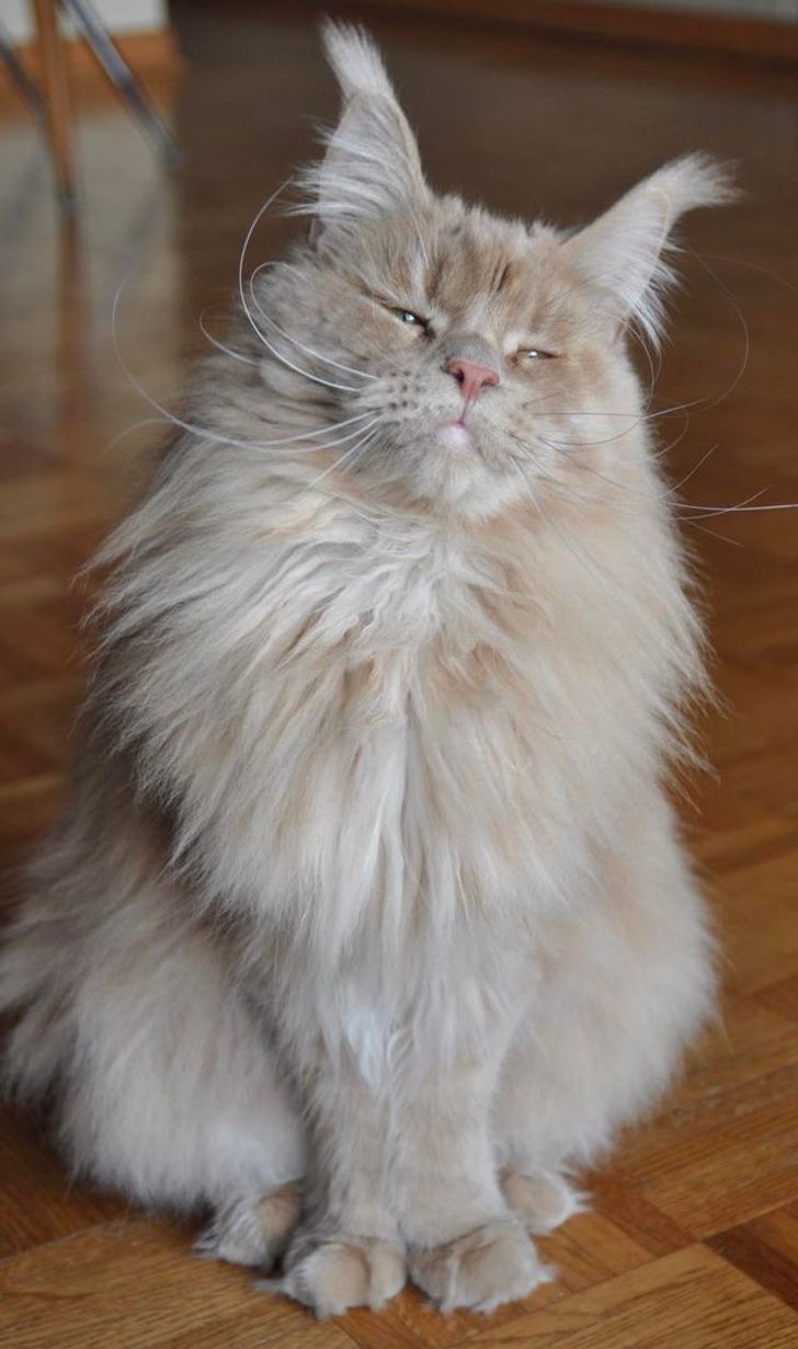 aab110578d8eb7e46676873b3f