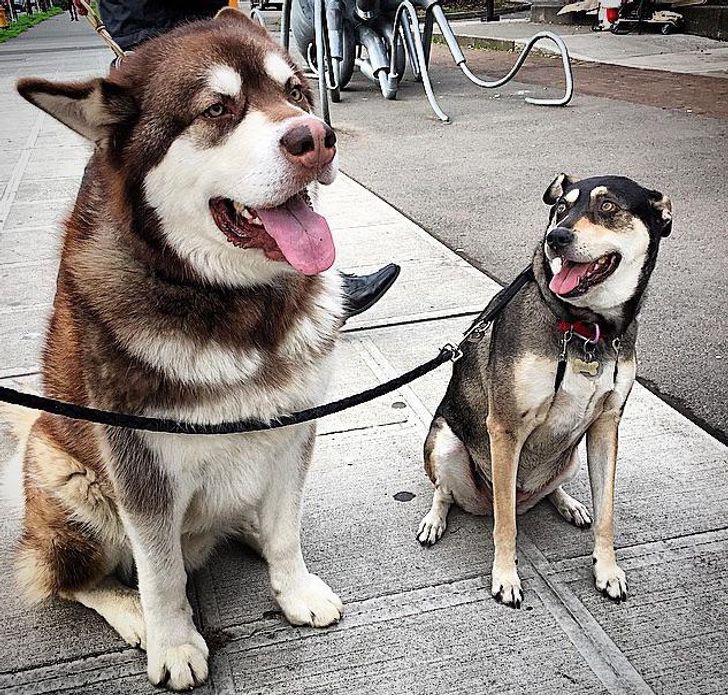 aab541530d8f55a33aabc5928b