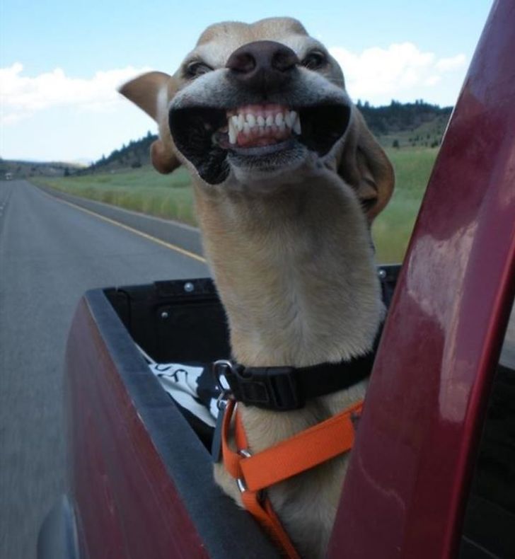 aad6a85b3c9a63d2ca747d82c4