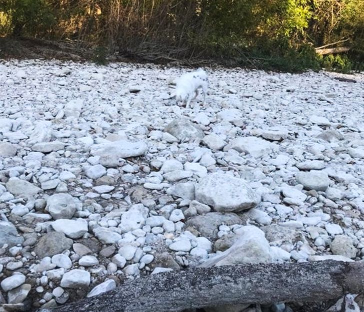 aad7cf5995827036c11d48518b