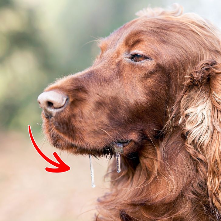 aad7d85df99035962cc5b1b5aa