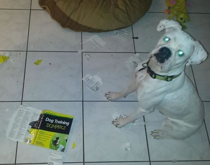 aad9b55a2e9c3347ebafe9727b