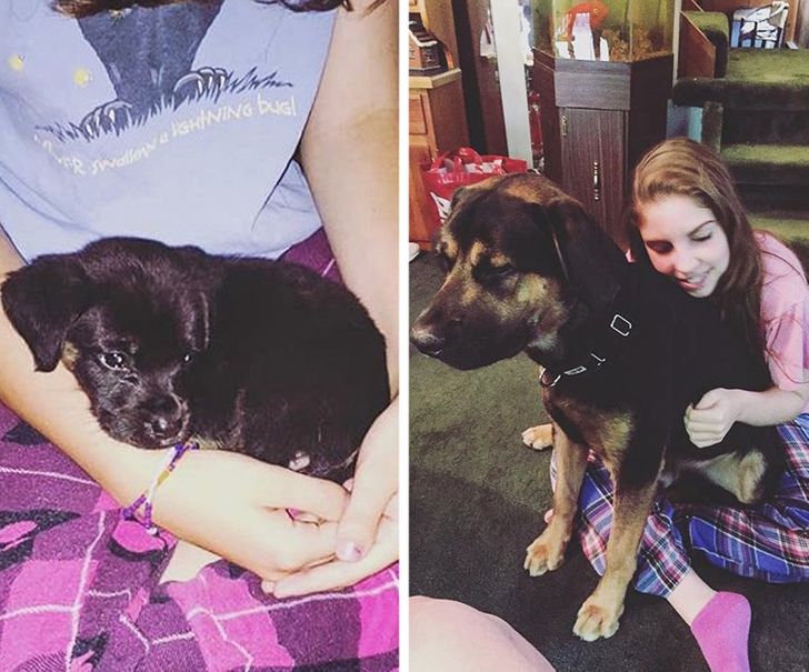 aadbd0547da5e10f6a460e86eb