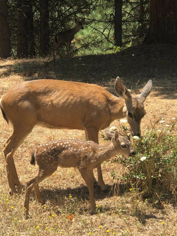 aadf5655dc86dac84c5f5f006e