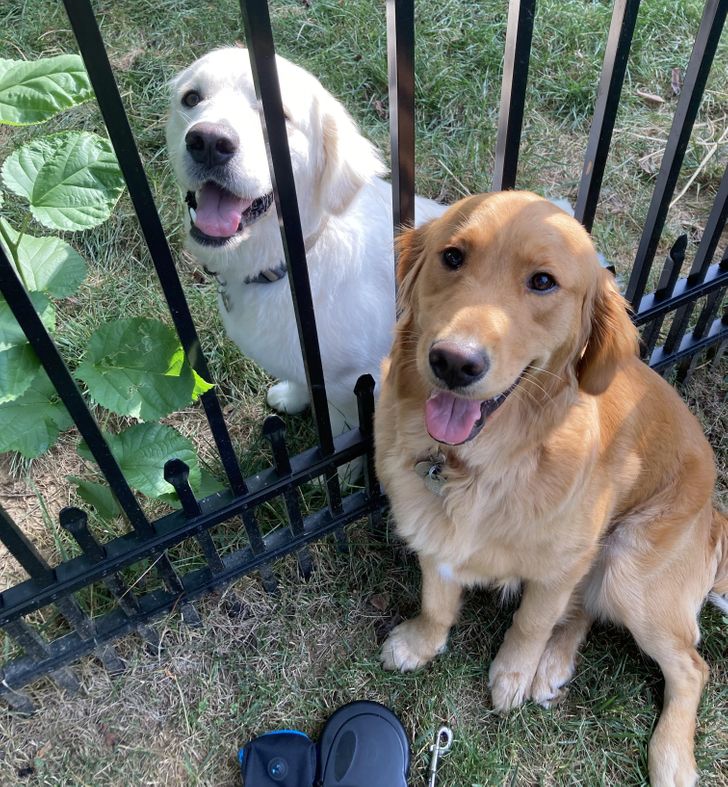 aadfc4531fbcb30843e42cb0d6