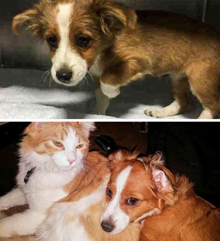 aae5e059e4bed6ec113dcec07e