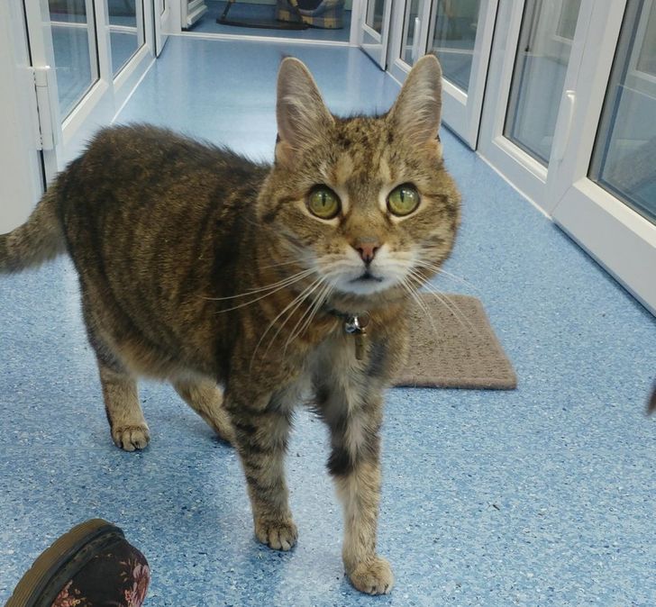 aaf29d54228ea1a6ff512ccd48