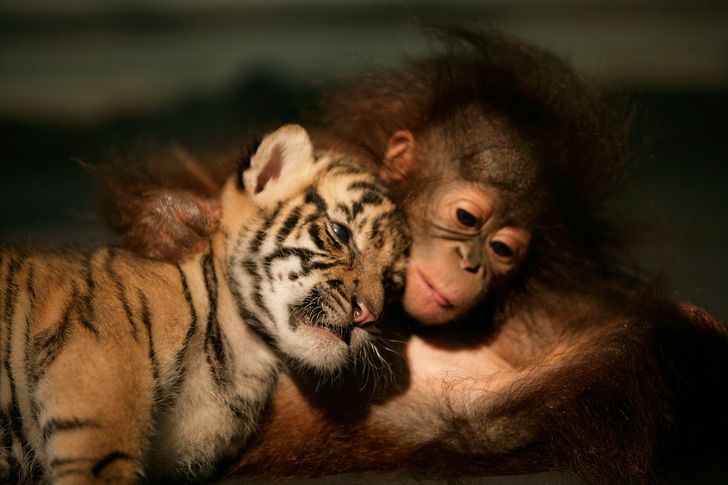 aaf5c3502a9c35b15edfef3820