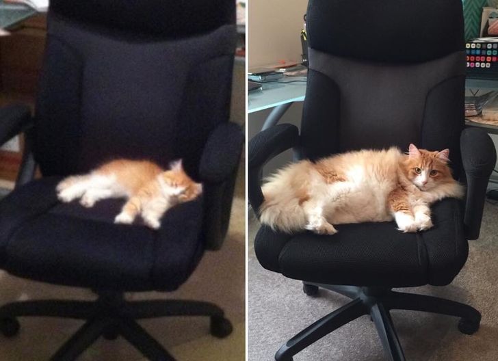 aafcbd5a25b608927b5aa03bda