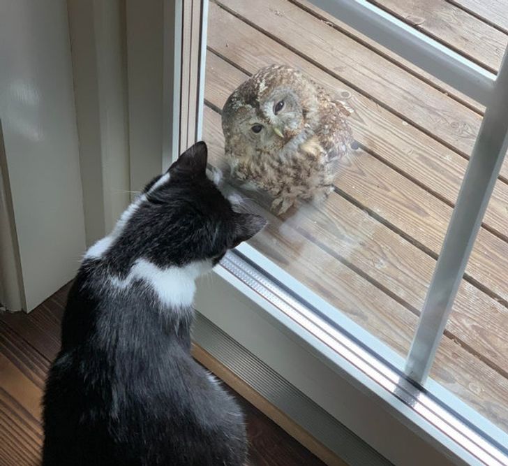 ab01b45354be4740ca03d767bf