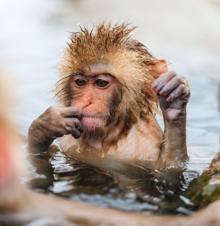 ab01bf57098d7ff9e286268150