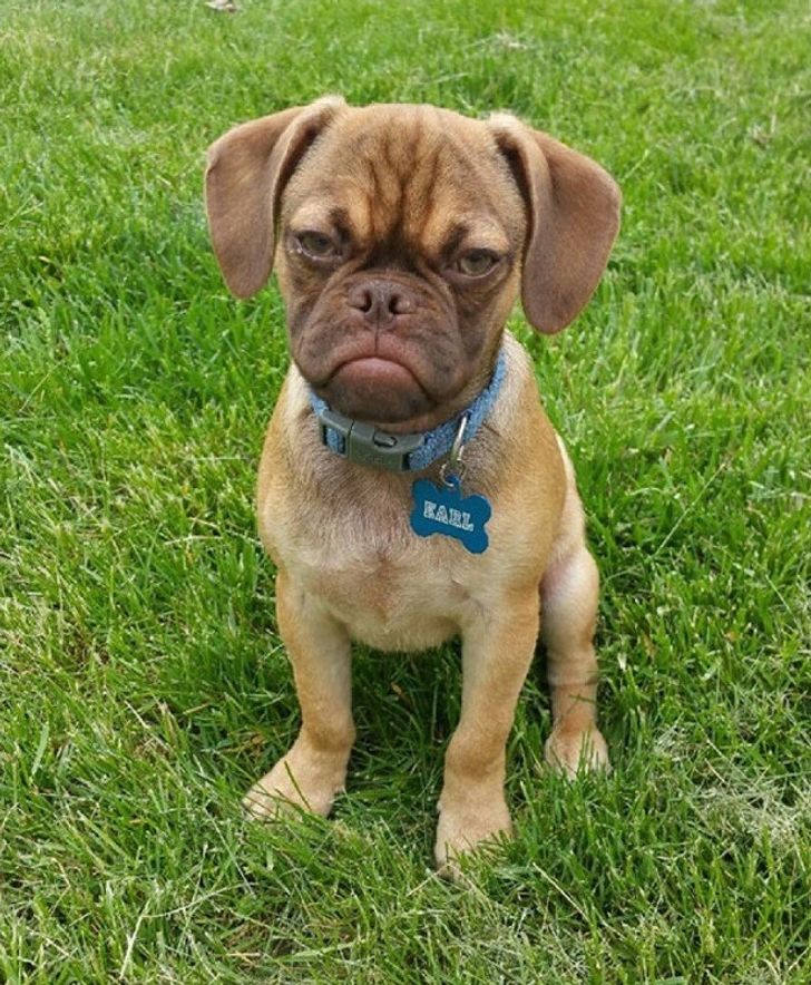 ab050e5024aad3337481e32216