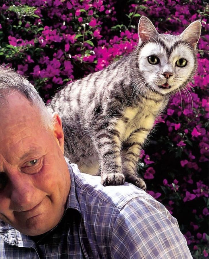 ab139454bdb0efb9e348dda061