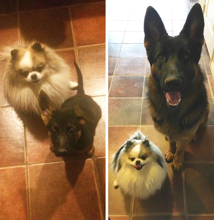 ab139c5506afbb9515ca60f1d7