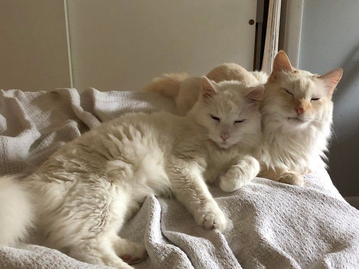 ab1a635e12bc8f11a7ef061bdf