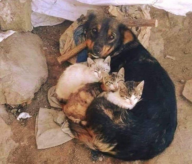 ab1acf5f59adca762f9d31f3eb