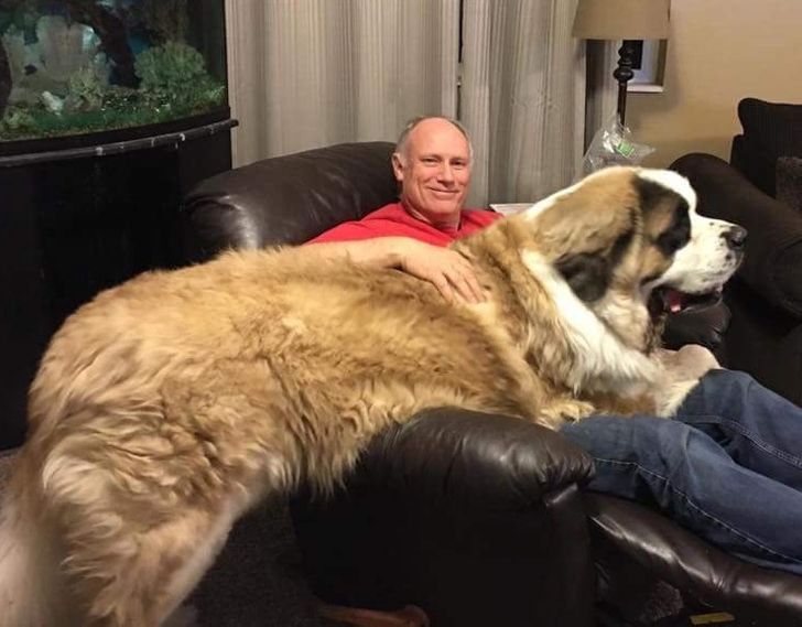 ab1d99515fa8e67efbf6f2a2c9