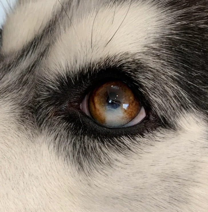 ab23b5546e84e553eea0d32cf8