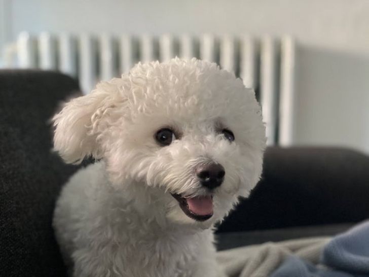 ab2ec85a1fa25b40239b7cc83b