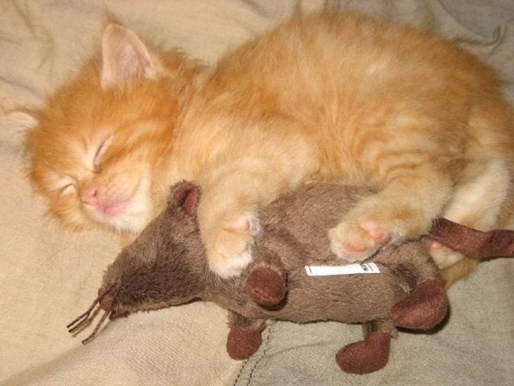 ab3a655222b8d5ca1673b54eb3