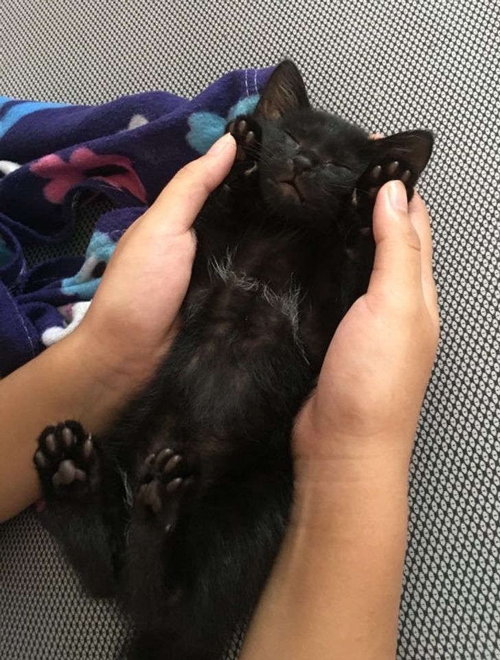 ab3d2b5500ab475a15c83f6e84