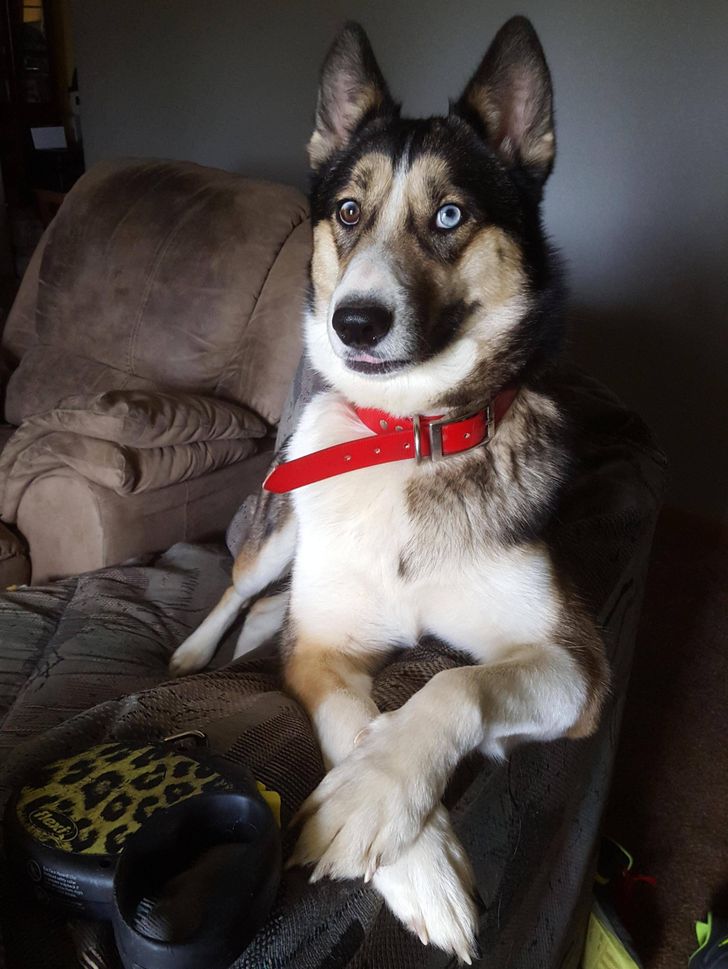 ab41515dd984a732e4b62bbce8