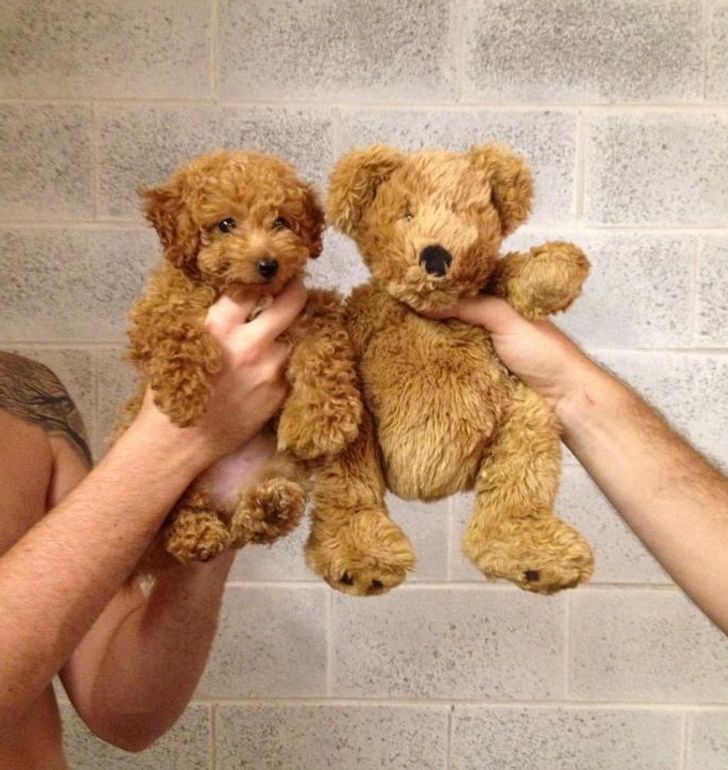 ab45cd55559815ef8ed2c7fd76