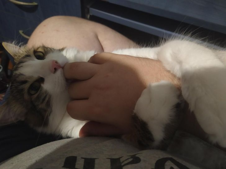 ab4ccf5bf4afb4a89af08bc0b3