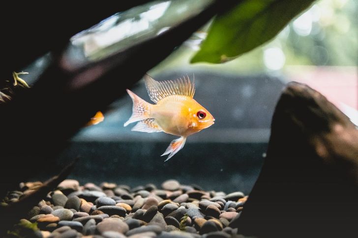 ab4eb0530abbcc7fe2f71e55b8