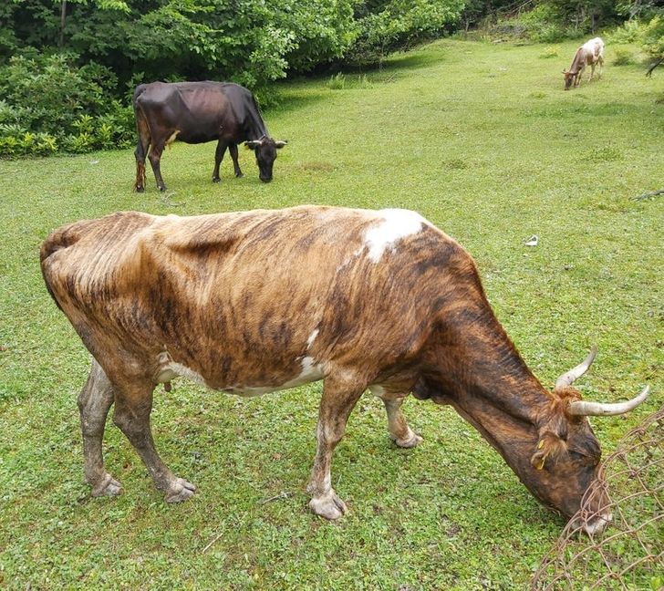 ab57d55418a636d8f2cd9df547