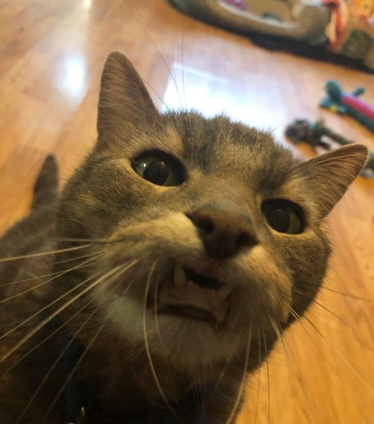 ab58995cbcb1110864b8c9ae45