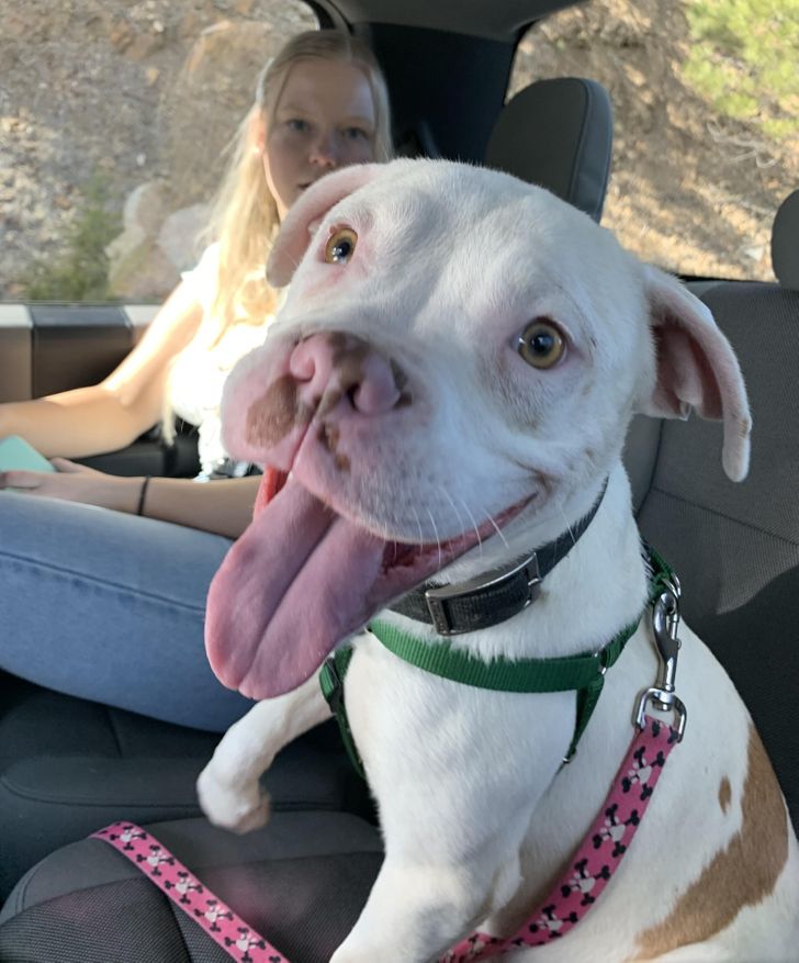 ab5dff59459551ed60613a6daa