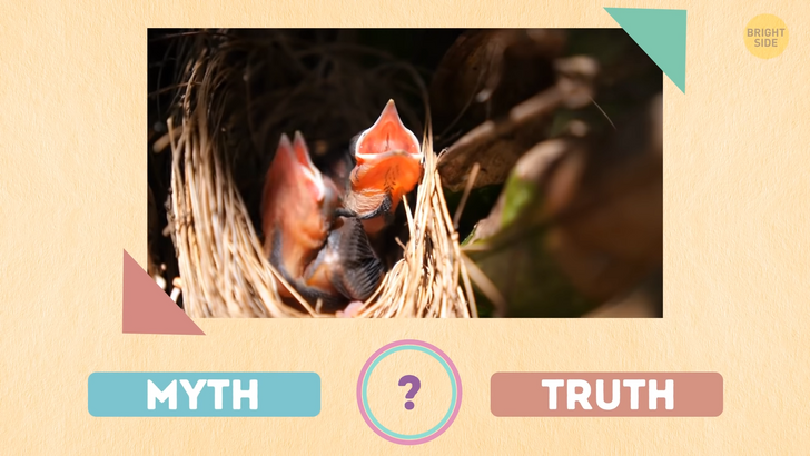 ab67595bf9bc54531cbbbbd330