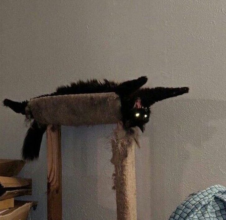 ab6a6d54f2b1ac028331c5e1fa