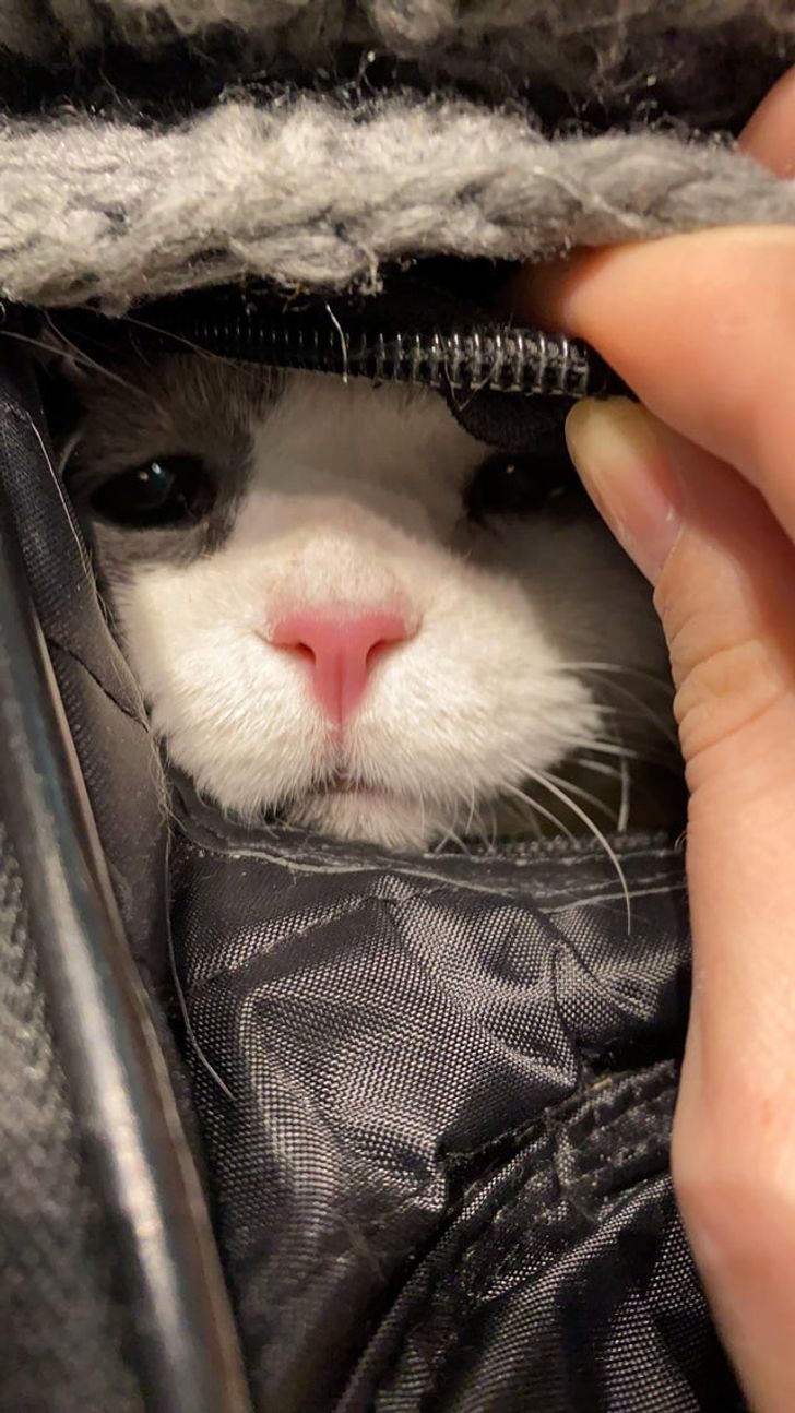 ab74695353ade7521c0a6ea2e0