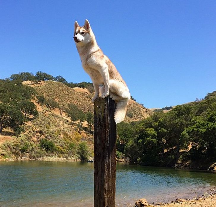 ab79d959fb91ba47f88333260f