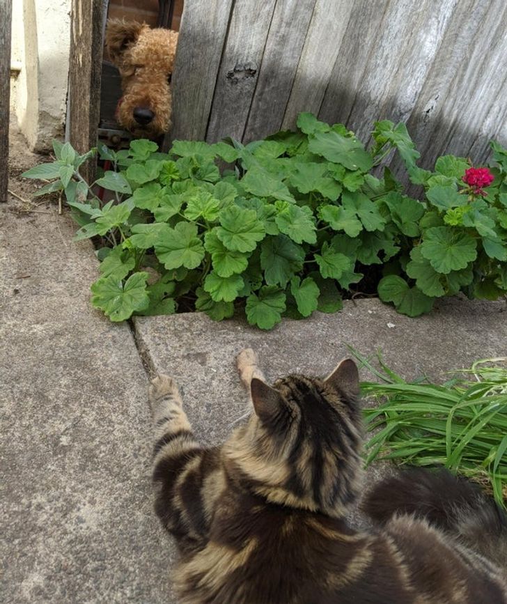 ab7ac150c3935978a53af43218