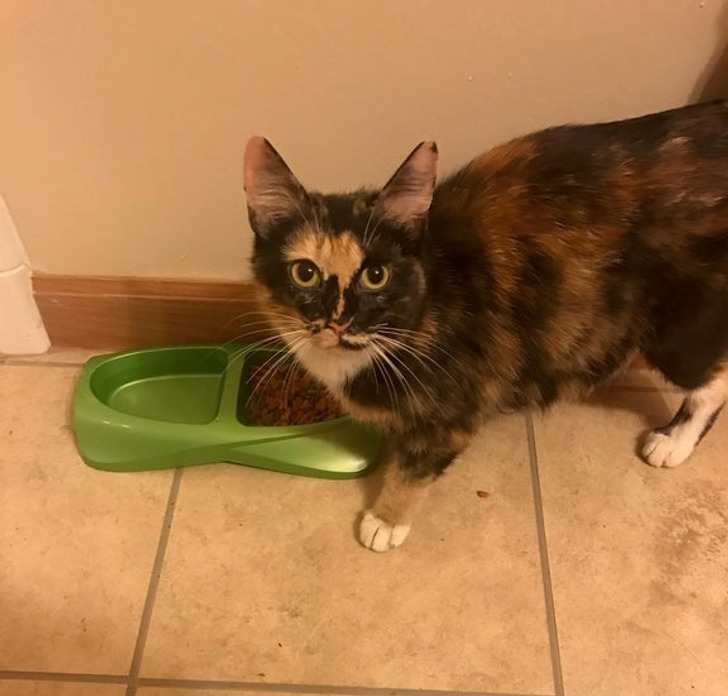 ab7ce157bdb54386213da9673c ab7ce157bdb54386213da9673c