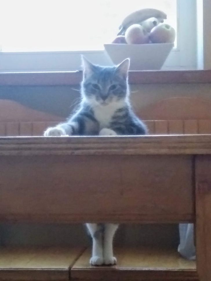 ab7d055f709a10e11eda50fc6a ab7d055f709a10e11eda50fc6a