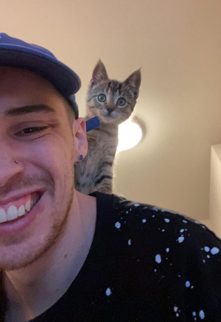 ab86cc5ffc832c0def8a94c90e