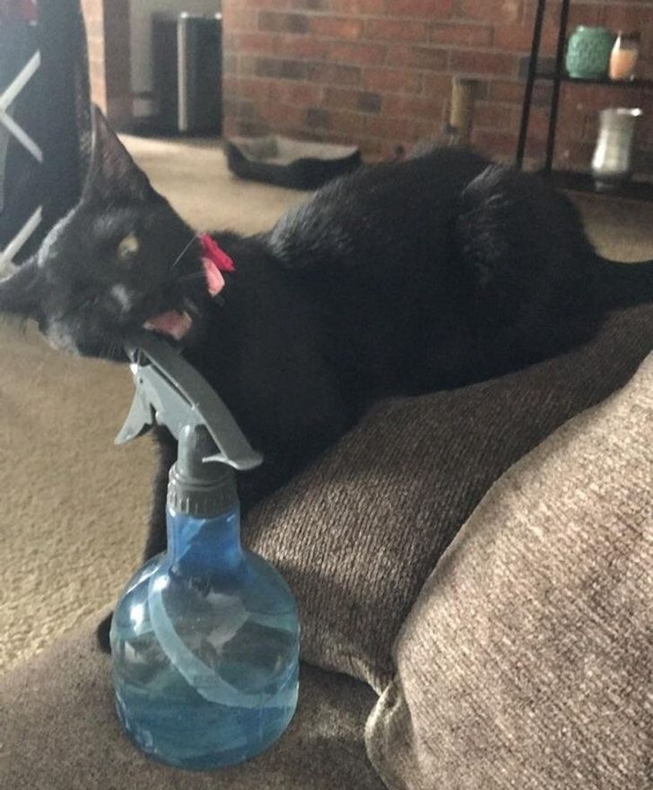 ab87405c55b99a8590bdd2e82a