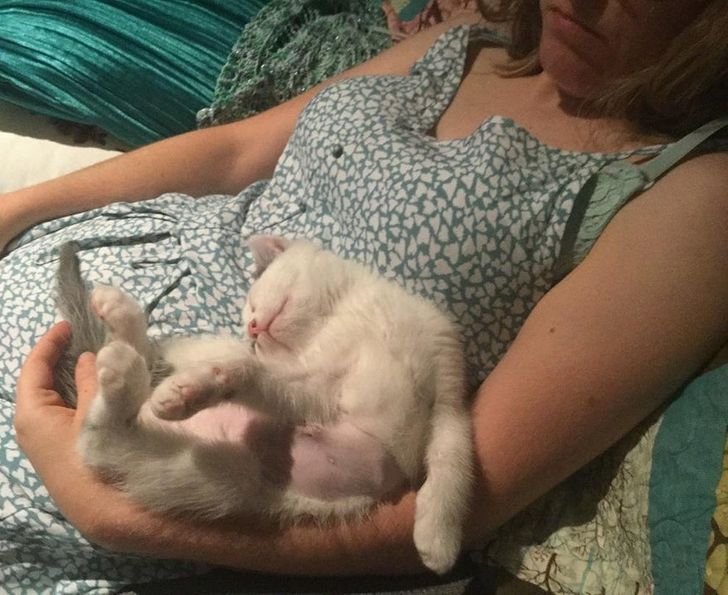 ab87da56648110a21176c71441