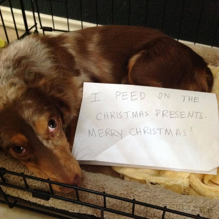 ab89885f5ca11026729894fc53