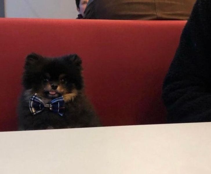 ab8a9e54bdbb266613d9476ac4