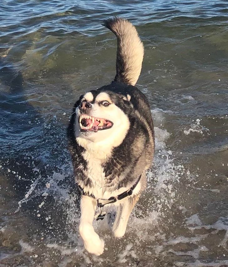 ab8b4f54799c1d7eaed2e8ccbe