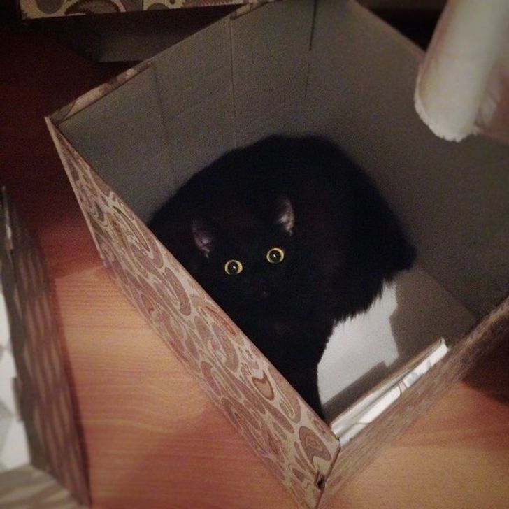 ab931354ac9cc45750f46048c1