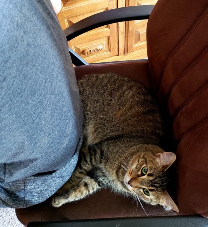 ab94f1539482cc67d9cbfe0ea2 ab94f1539482cc67d9cbfe0ea2